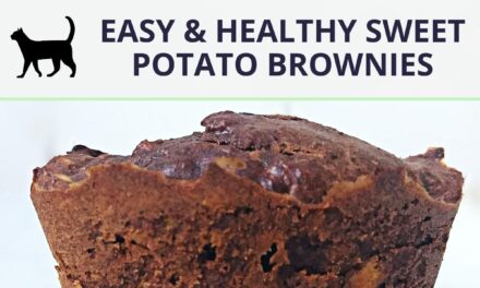 Easy Flourless sweet potato brownies: How to make them (sugar-free)