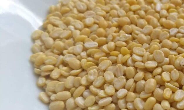 Protein foods for hair