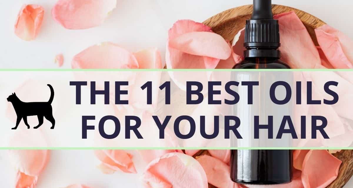 The 11 best oils for your hair – Try them now!