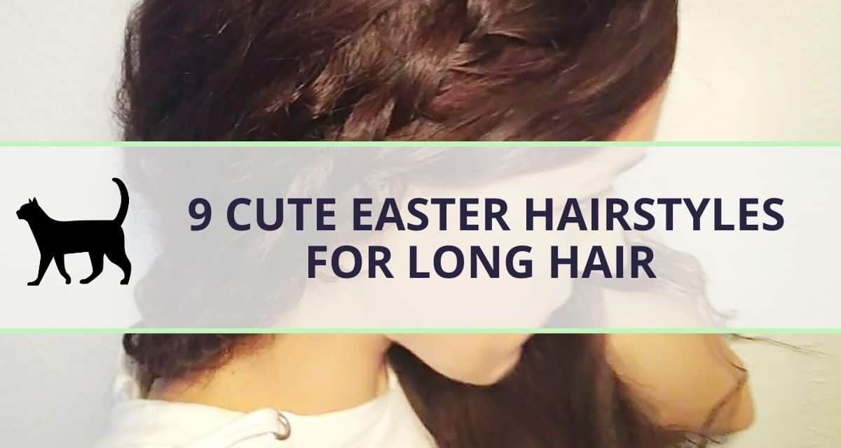 Currently Trending: 21 Easy Hairstyles for Thick Hair