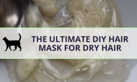 How to make a Homemade hair mask for dry hair