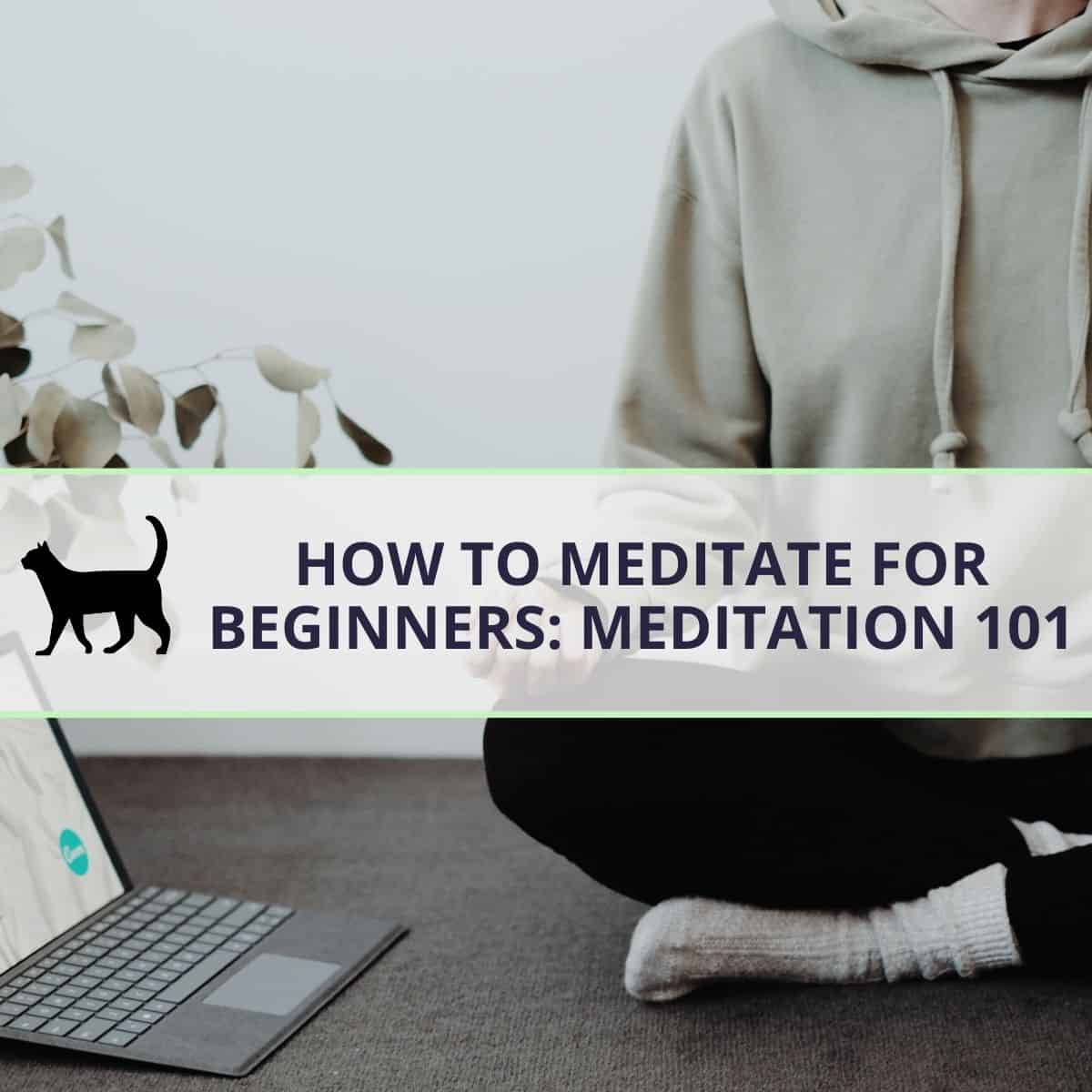 Meditation 101: How To Meditate For Beginners – Invisible Lioness