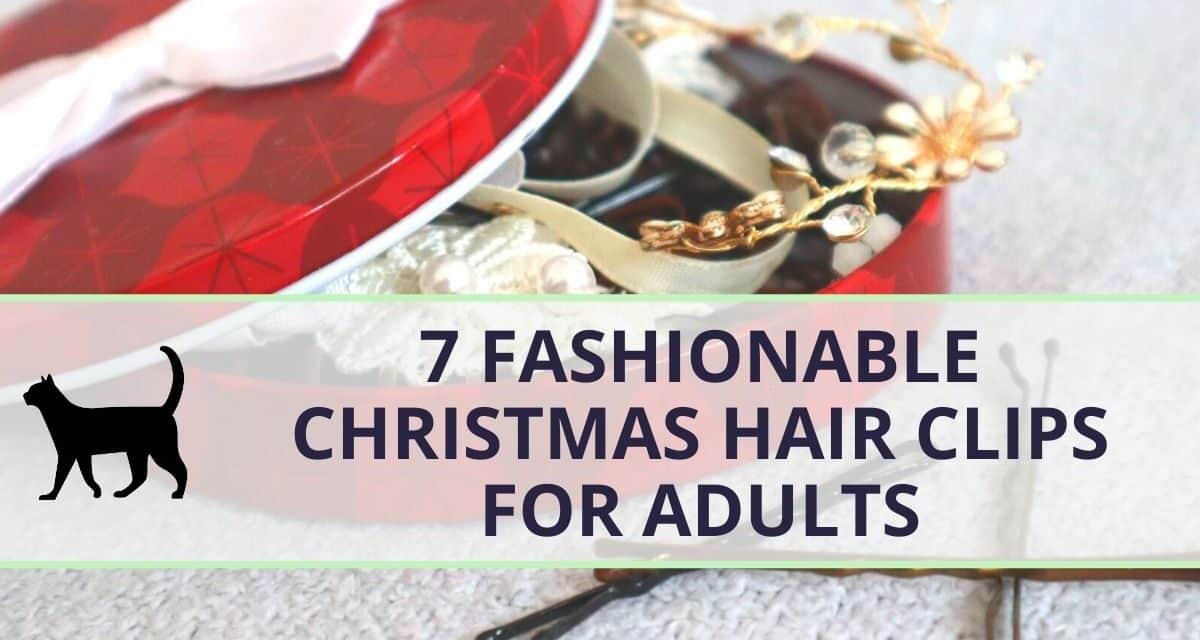 7 Fashionable Christmas Hair clips for adults to get this year