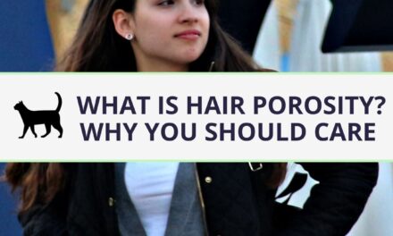 What is hair porosity and why should you care?