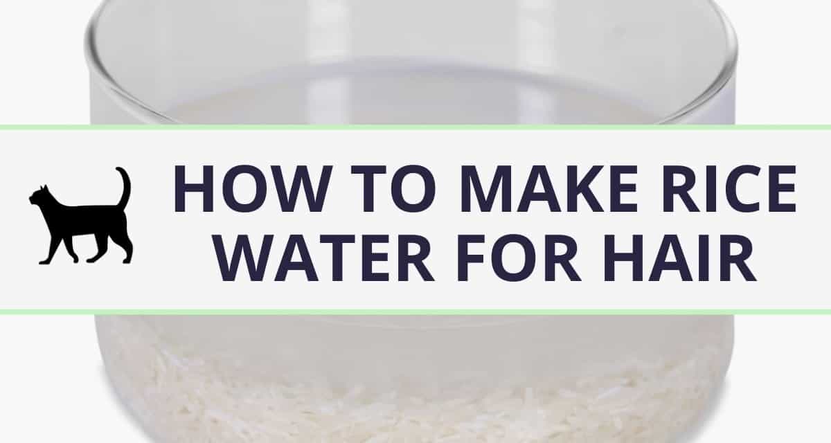 How to make a rice water rinse for curly hair