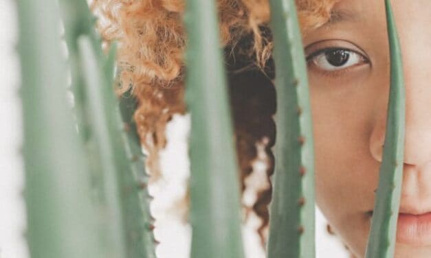 Aloe vera gel in hair care