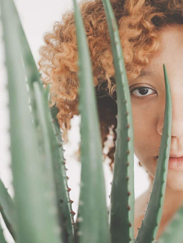Aloe vera gel in hair care