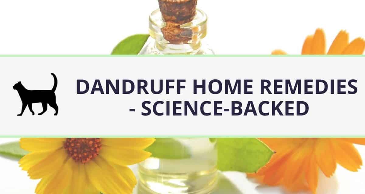 Dandruff home remedies – here is what science recommends!