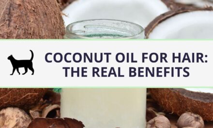 Coconut oil for hair: the real benefits