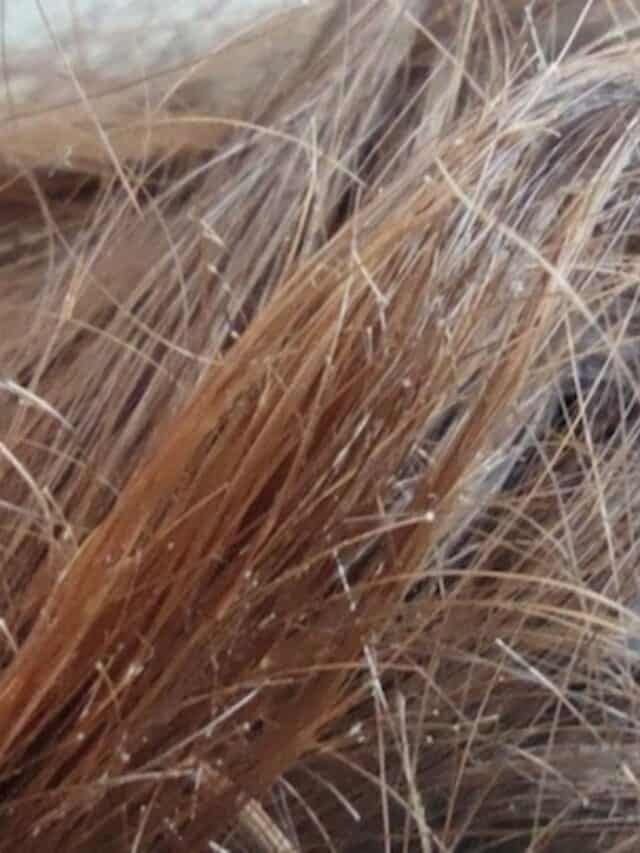 Cutting split ends & hair growth