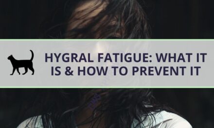 Hygral fatigue: How to recognize and combat it