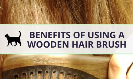 Reasons for & benefits of a wooden hair brush or comb