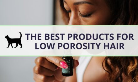 The best low porosity hair products