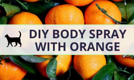 How to: Easy DIY Body Spray recipe with orange