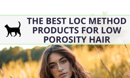The best LOC method products for low porosity hair