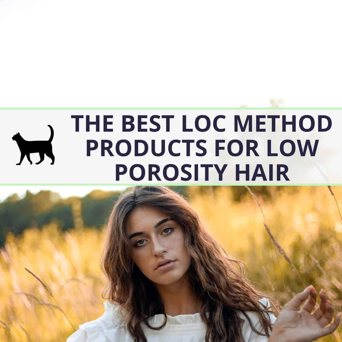 the-best-loc-method-products-for-low-porosity-hair