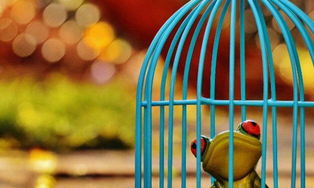 How to fight perfectionism