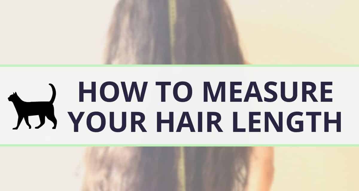 Hair Length Chart with an Ultimate Length Guide for Women