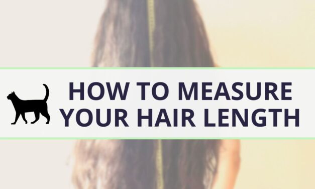 How to measure your hair length accurately (with hair length chart)